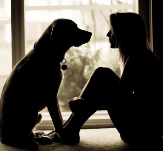 10 Motivos para ter um cachorro em casa