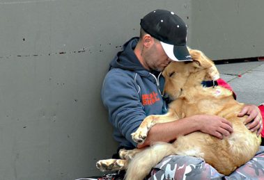 Cachorros não se importam com bens materiais
