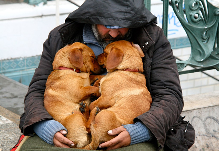 cachorros-que-amam-os-donos-independente-de-dinheiro-15