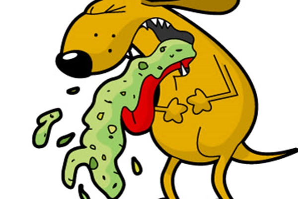 cachorro-vomitando-1
