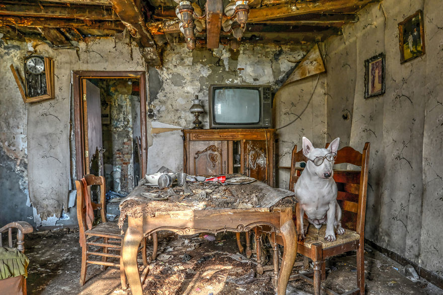 cachorros-e-dono-exploram-lugares-abandonados-da-europa-13