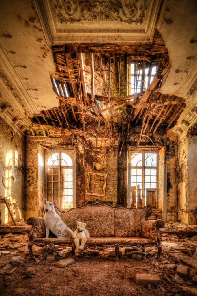 cachorros-e-dono-exploram-lugares-abandonados-da-europa-16