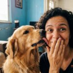 Cachorro lambendo o tutor o tempo todo: carinho, aviso ou pedido de ajuda?